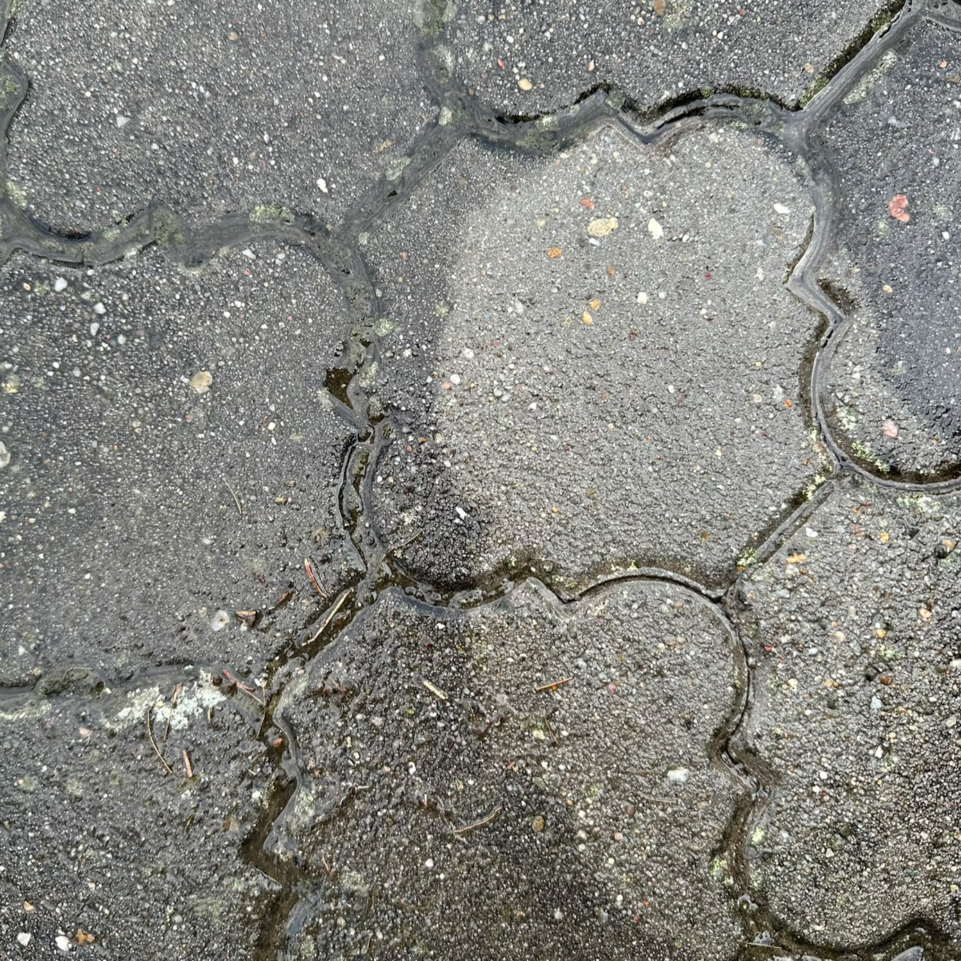 Vyčištěný interiér vozu